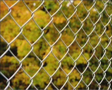 últimas noticias de la compañía sobre Mesh Security Chain Link Fence  1