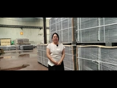 Embalaje de vallas galvanizadas 3D