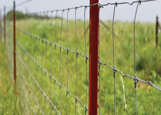 Hot Dipped Galvanized Fixed Knot Sheep Farm Fence Of Steel Wire Mesh