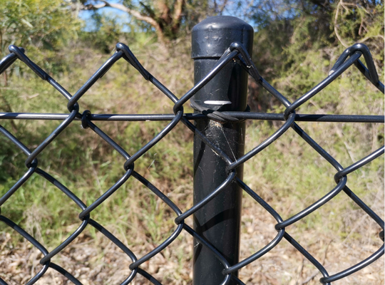 6ft 8ft 5x5 6x6 cerco de enlace de cadena revestido de PVC galvanizado para cercas agrícolas