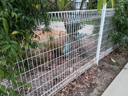 El Pvc cubrió el acero galvanizado doblado de la cerca del panel de malla de alambre soldado con autógena jardín curvo 3d