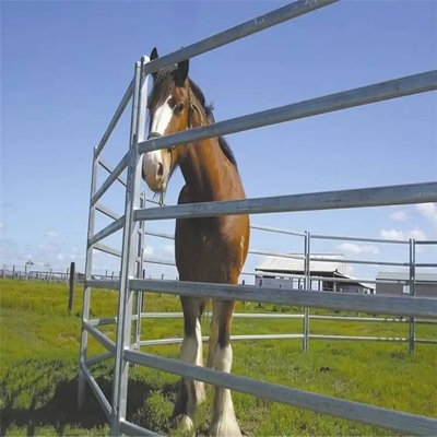 2023 ganado resistente vendedor caliente del ganado de los E.E.U.U. 12 pies acorrala la ronda Pen Panels de la cerca y del caballo