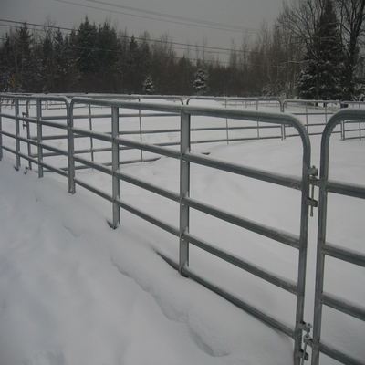 El corral vendedor caliente de la cerca resistente/del caballo del panel del ganado de los E.E.U.U. 12 pies artesona 12 pies de metal galvanizado resistente portátil