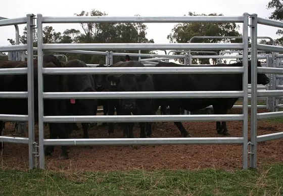 El Pvc cubierto galvanizó ganado del metal del 12ft artesona el metal resistente alrededor de la cerca de la yarda del caballo de Pen Cattle Corral Livestock Farm