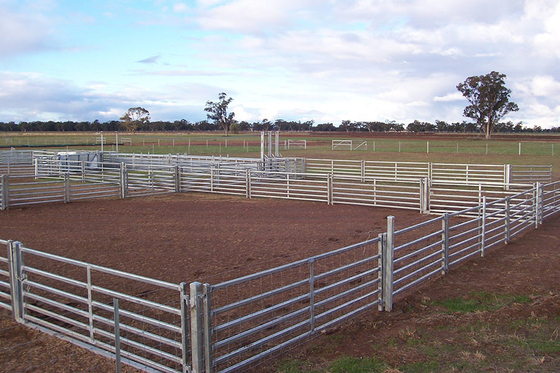 Cerca galvanizada el 1.7m de acero a granel Panels, los paneles portátiles del ganado de carbono de la cabra