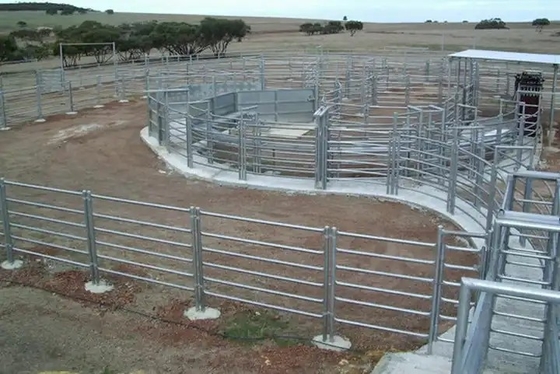 La cerca redonda Panels Heavy Duty del ganado del metal del tubo los 6ft galvanizó el corral