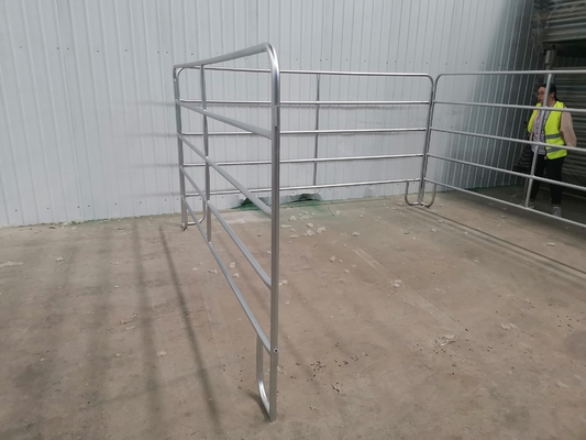 30x60mm paneles de cercas de ganado galvanizados de trabajo pesado / panel de patio de caballos