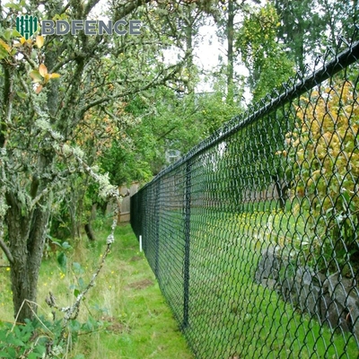 Técnica Tejido 5ft Galvanizado Chain Link Valla Con PVC Revestido de malla de alambre y galvanizado en caliente