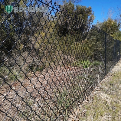 6 pies de altura de diamantes malla de cadena de enlace de cerca ideal para el jardín verde tipo de poste de la granja cuadrada