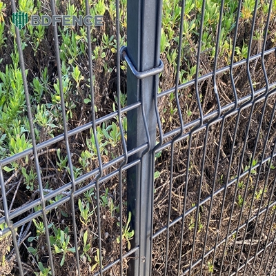 Protección paneles de vallas de malla de alambre soldado 3d revestidos con polvo de PVC metálico curvado