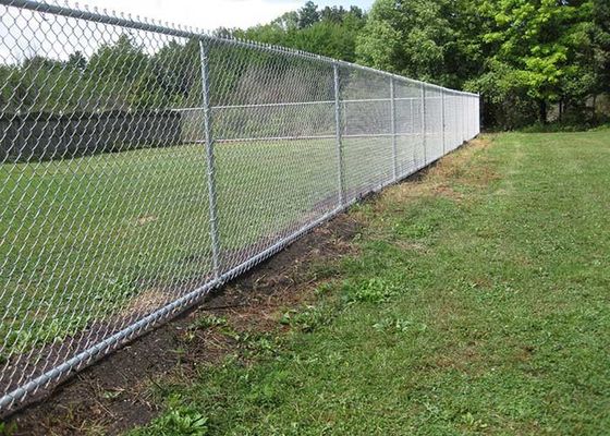 Parque zoológico que protege el alambre Diamond Chain Link Fence de 5m m