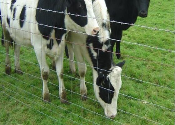 El ganado galvanizado previene la cerca común del campo de granja del alambre de la página de bisagra