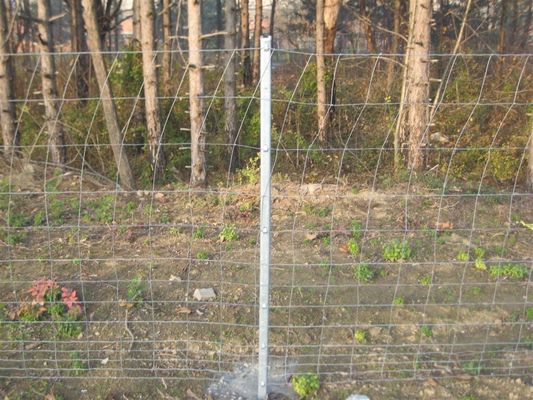 Cerca Panels For Deer del ganado del campo de HGMT el 1.8m