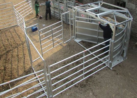 Cerca soldada con autógena tubo cuadrado Panels For Cattle del ganado