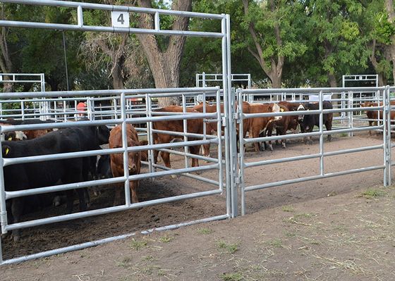 Granja que entrelaza la cerca Panels del ganado de L4m