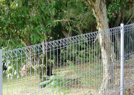 El PVC del OEM cubrió la cerca soldada con autógena los SSM del jardín del alambre