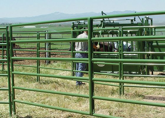 el tubo portátil llenó ganado de la malla soldada con autógena cerca a Gate