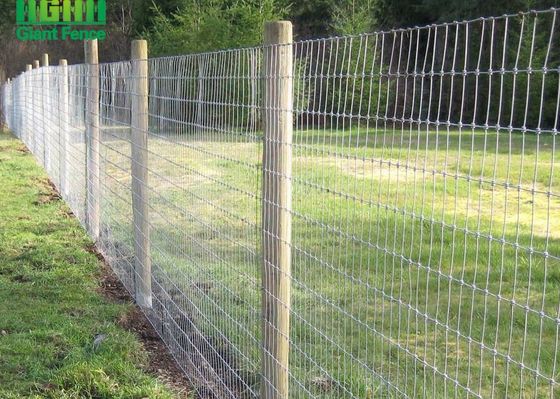 Los paneles de Mesh Fixed Knot Livestock Fence del alambre de acero de HGMT