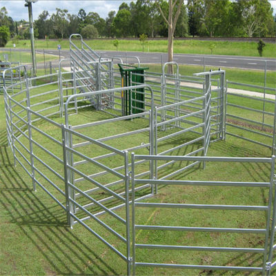 60x60mm Rails Lugs and Pin Model Square Pipe 60ft Height Ganado Panel para caballo