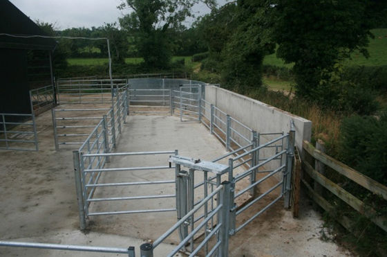 El ganado de la longitud del ISO los 2.1m cerca la granja de Panels For Livestock