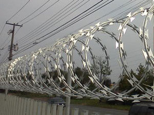 Caliente acordeón sumergido galvanizó el alambre de púas de la seguridad de 2.5m m