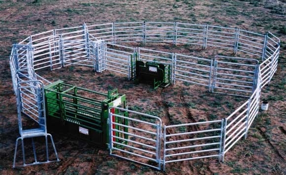 8x8 galvanizó la cerca de acero Panels del ganado de 5 barras