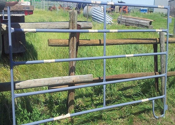El cercado temporal del corral del jardín el 1.6m artesona el hierro de la cría de animales