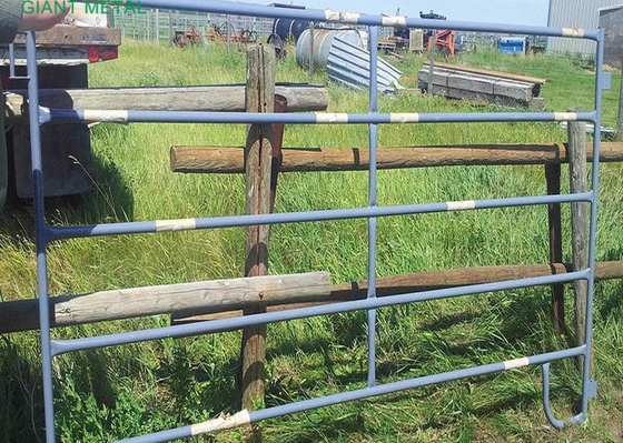 Puertas resistentes de la granja de Panels Metal Galvanized de la cerca del ganado de la altura del 1.6m