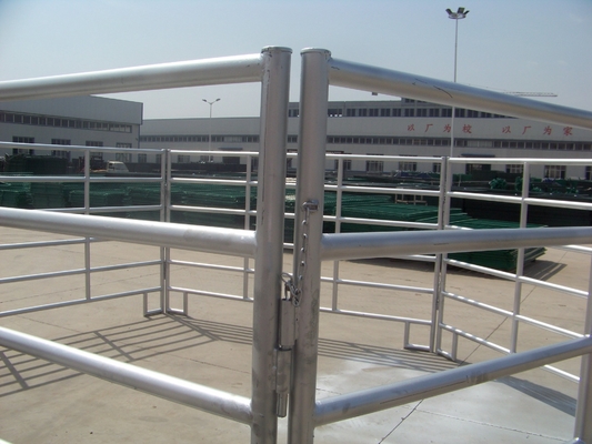 El corral soldado con autógena del caballo del metal del 10ft de los x 4ft 50x50m m artesona resistente galvanizado
