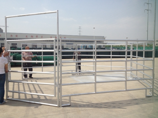 El corral soldado con autógena del caballo del metal del 10ft de los x 4ft 50x50m m artesona resistente galvanizado