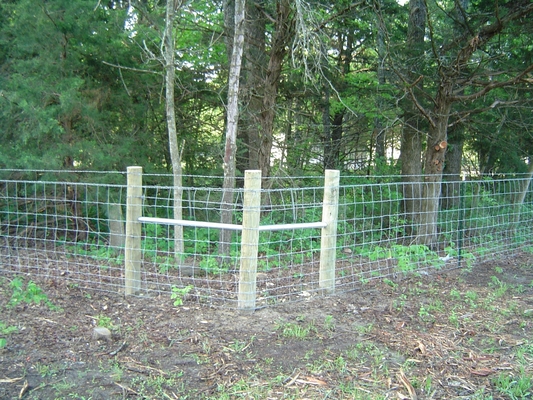Cerca Panels Galvanized del ganado del metal de la yarda el 1.0m de las ovejas/del ganado