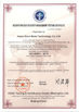 China Hebei Giant Metal Technology co.,ltd certificaciones